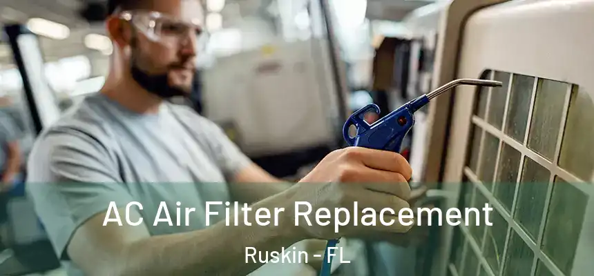 AC Air Filter Replacement Ruskin - FL