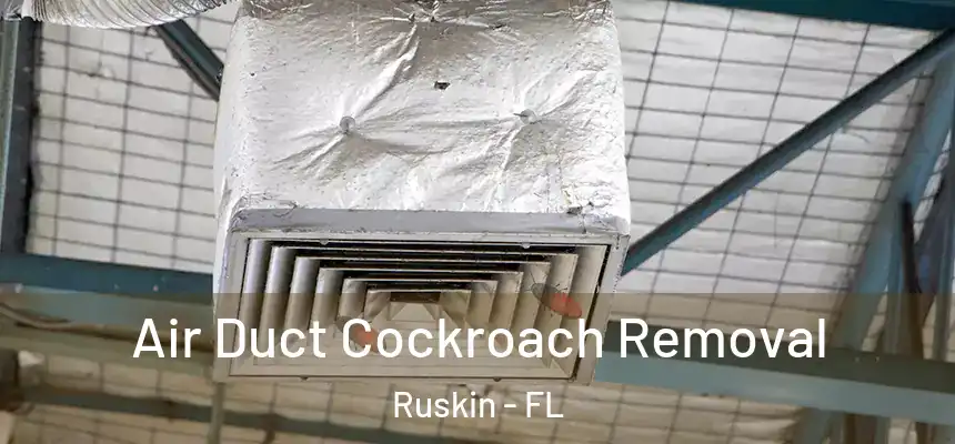 Air Duct Cockroach Removal Ruskin - FL