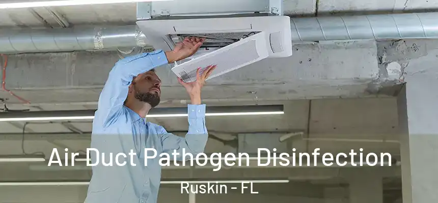  Air Duct Pathogen Disinfection Ruskin - FL