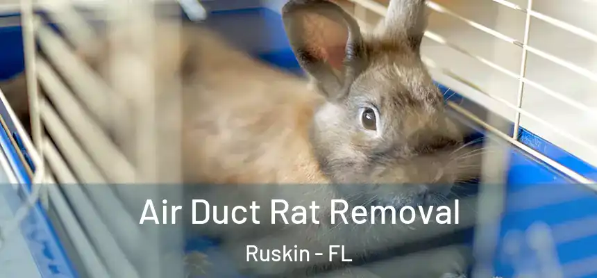 Air Duct Rat Removal Ruskin - FL