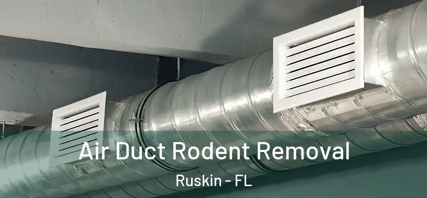 Air Duct Rodent Removal Ruskin - FL