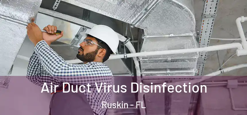Air Duct Virus Disinfection Ruskin - FL