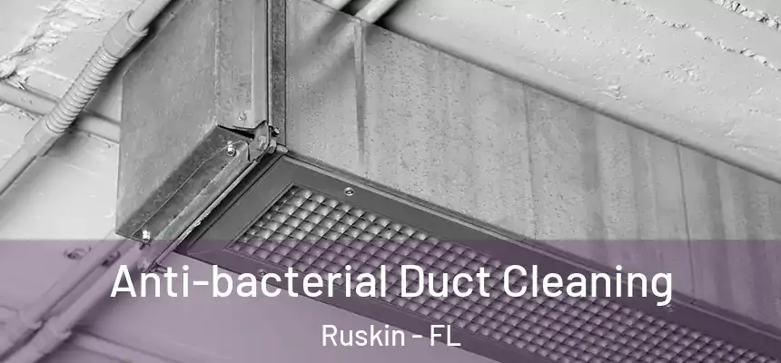Anti-bacterial Duct Cleaning Ruskin - FL