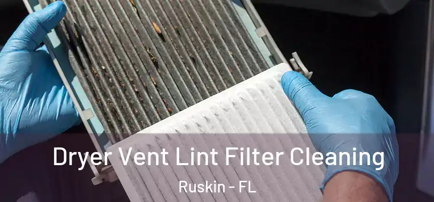 Dryer Vent Lint Filter Cleaning Ruskin - FL