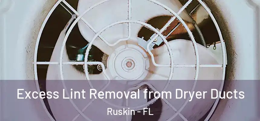 Excess Lint Removal from Dryer Ducts Ruskin - FL