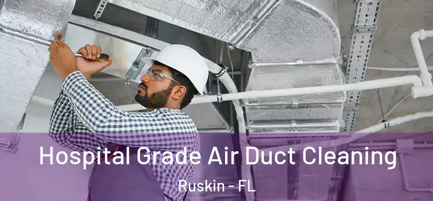 Hospital Grade Air Duct Cleaning Ruskin - FL