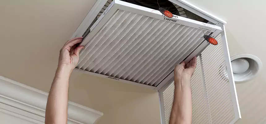 Preventive Cockroach-Proofing for Ducts in Ruskin