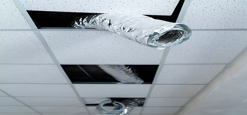 Our Air Duct Pet Hair Removal Services in Ruskin, FL