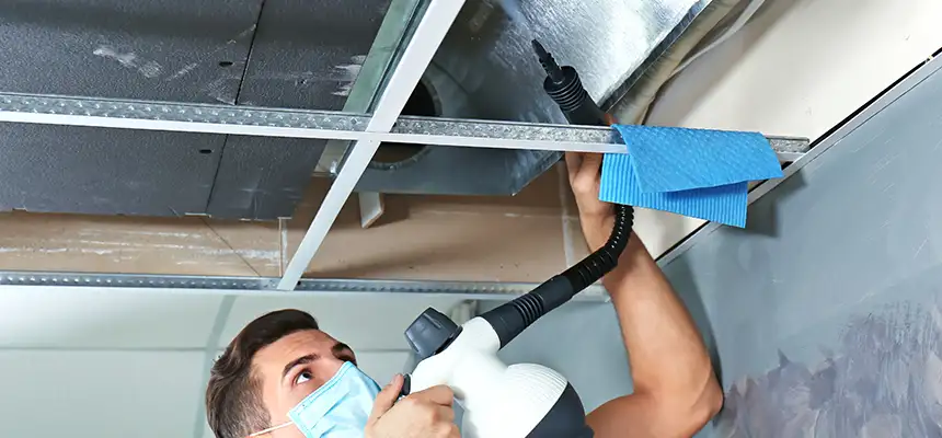 Our Air Duct Rodent Removal Services in Ruskin, FL