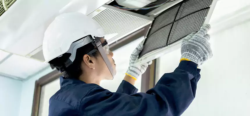 Our Mold & Mildew Removal from Air Ducts Services in Ruskin, FL