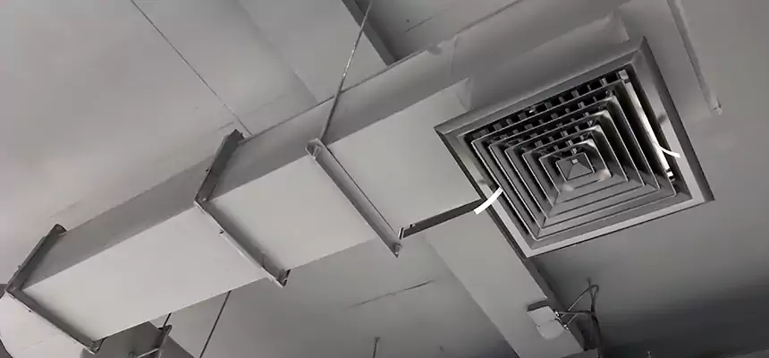 Our Pest Removal From Ducts Services in Ruskin, FL