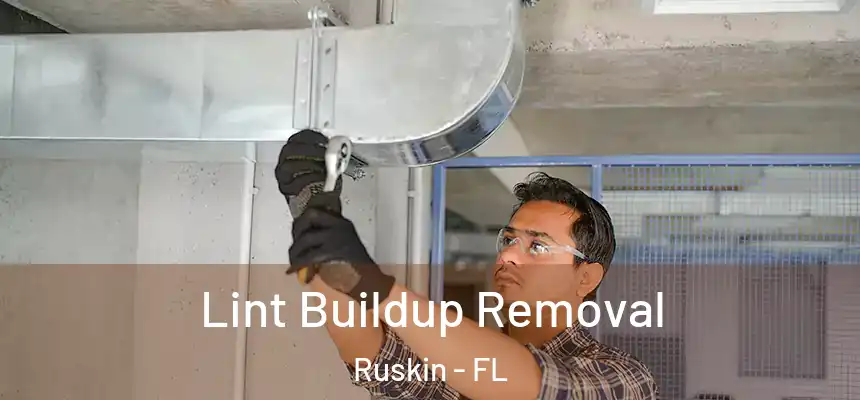 Lint Buildup Removal Ruskin - FL