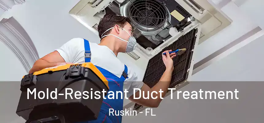 Mold-Resistant Duct Treatment Ruskin - FL