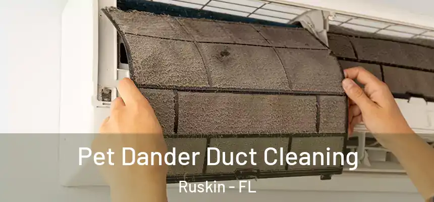 Pet Dander Duct Cleaning Ruskin - FL