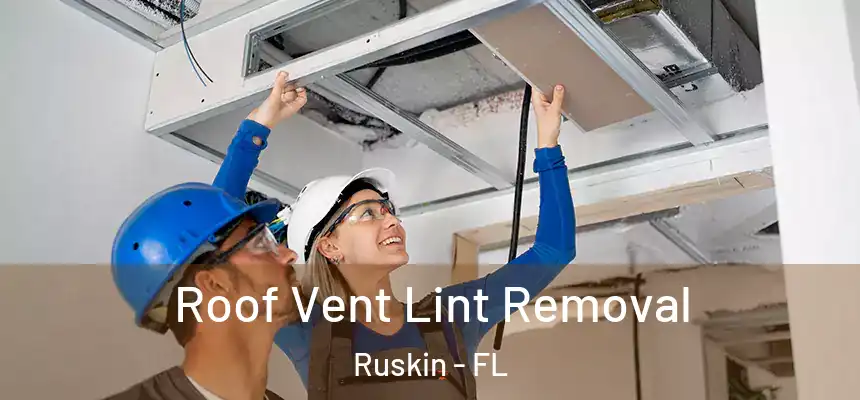 Roof Vent Lint Removal Ruskin - FL
