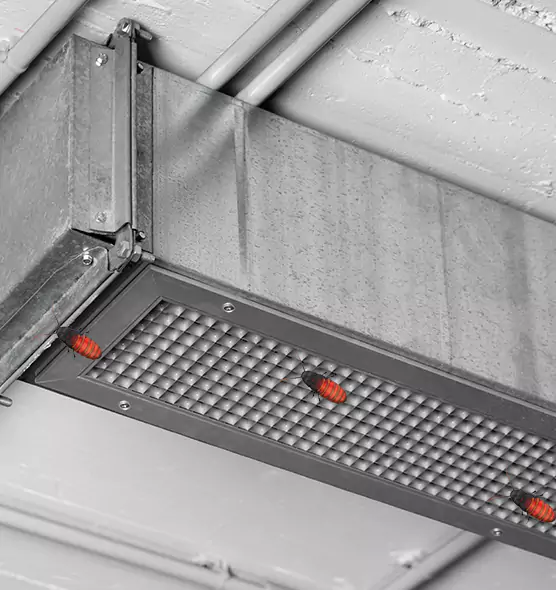 About Air Duct Cockroach Removal in Ruskin, FL