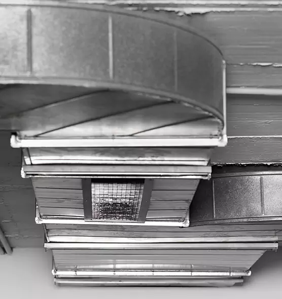 Professional Air Duct Pest Removal in Ruskin, FL