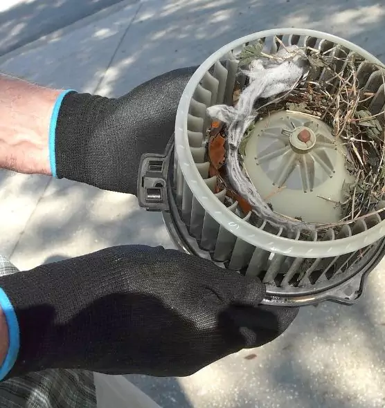 About Air Duct Rat Removal in Ruskin, FL