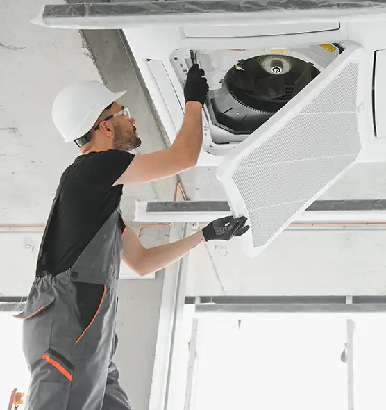 About Air Duct Rodent Removal in Ruskin, FL