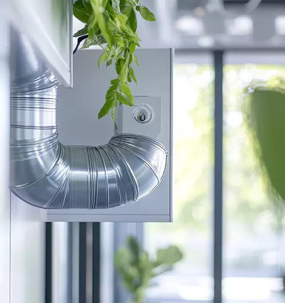 Professional Eco-Friendly Duct Cleaning Services in Ruskin, FL