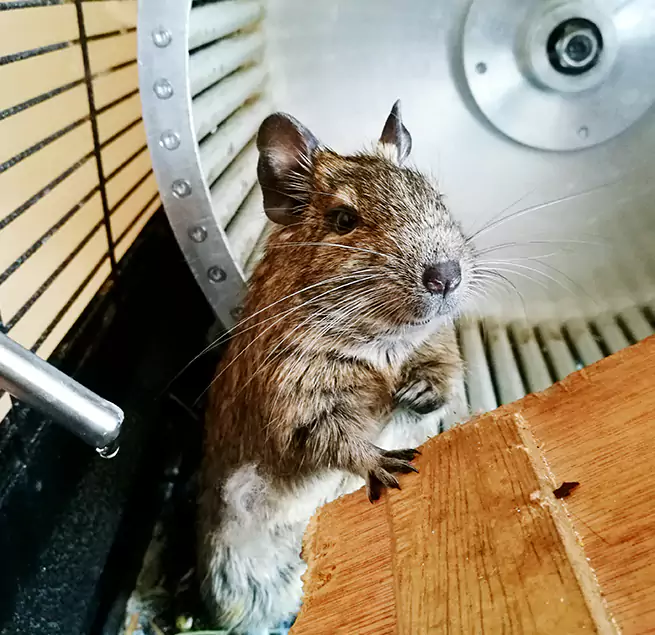 Why Homeowners & Businesses Trust Us Ruskin, FL?