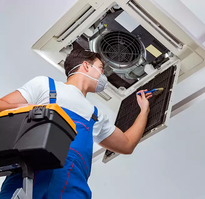 Why Homeowners & Businesses Trust Us in Ruskin, FL