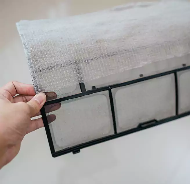 Why Homeowners & Businesses Trust Us in Ruskin, FL?