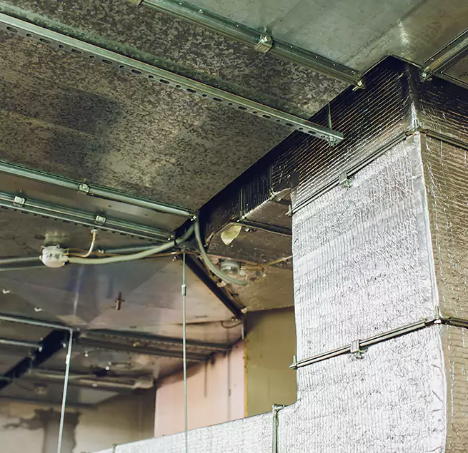 Why Homeowners & Businesses Trust Us in Ruskin, FL?