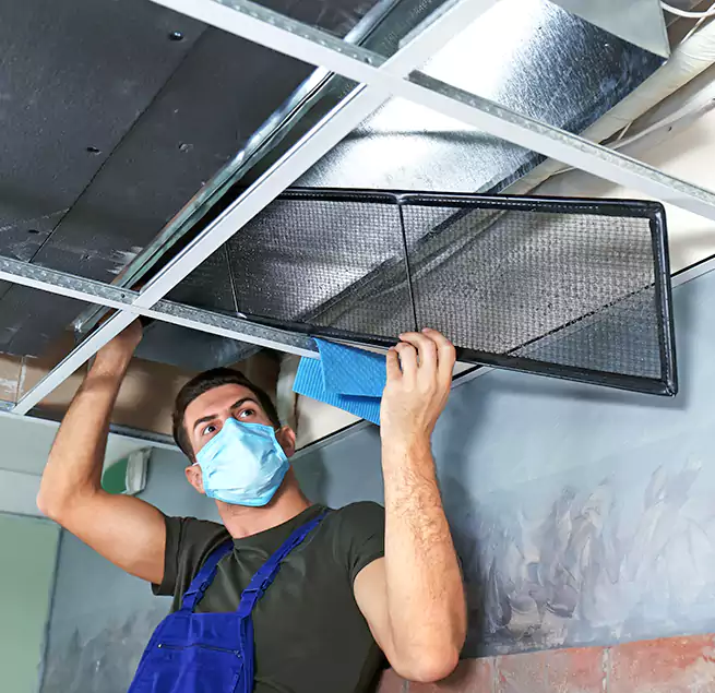 Why Homeowners Businesses Trust Us in Ruskin, FL