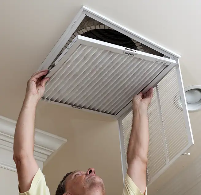 Why Homeowners & Businesses Trust Us in Ruskin, FL?