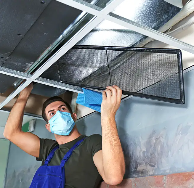 Why Homeowners & Businesses Trust Us in Ruskin, FL?